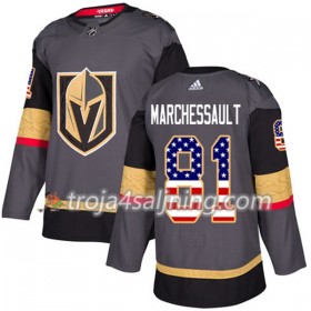 Vegas Golden Knights tröja Jonathan Marchessault 81 Adidas 2017-2018 Grau USA Flag Fashion Authentic - NHL Tröjor Herr
